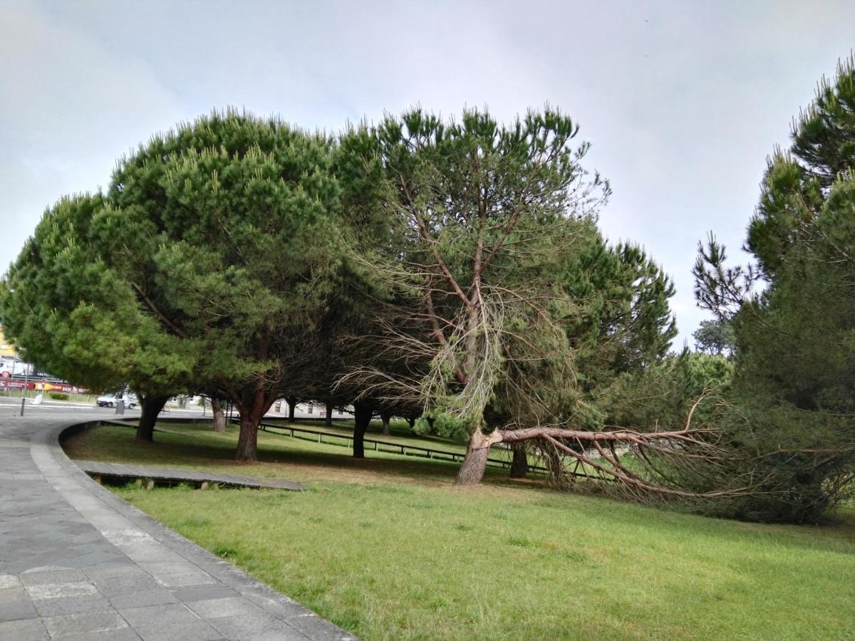 Aticos Con Terraza Vistas Urbanos 100 Playa Διαμέρισμα Sanxenxo Εξωτερικό φωτογραφία